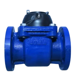 DN40mm – Woltman Type Bulk Flow Water Meters